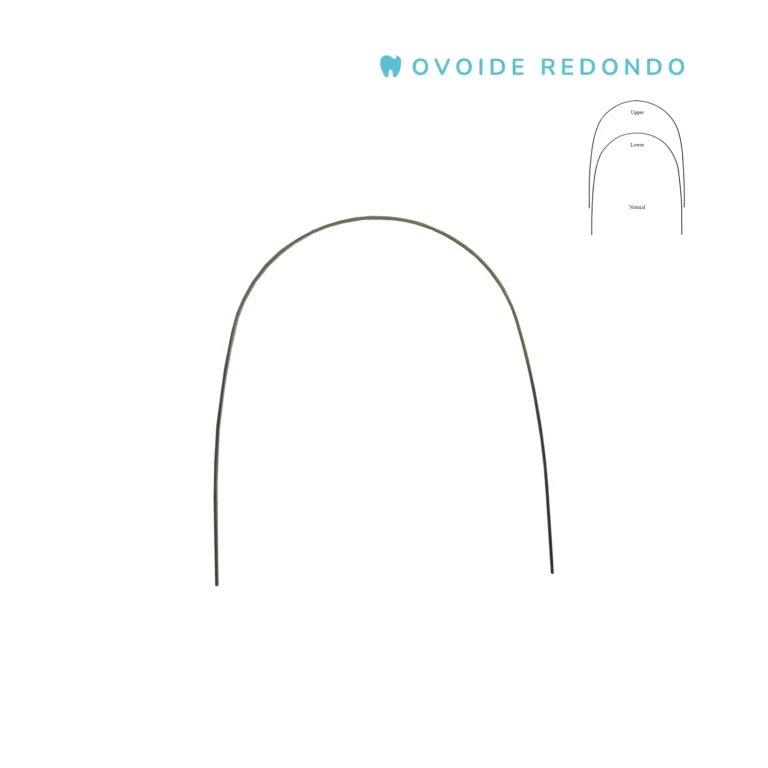 Arcos-Beta-Titanium-Ovoide-Redondos