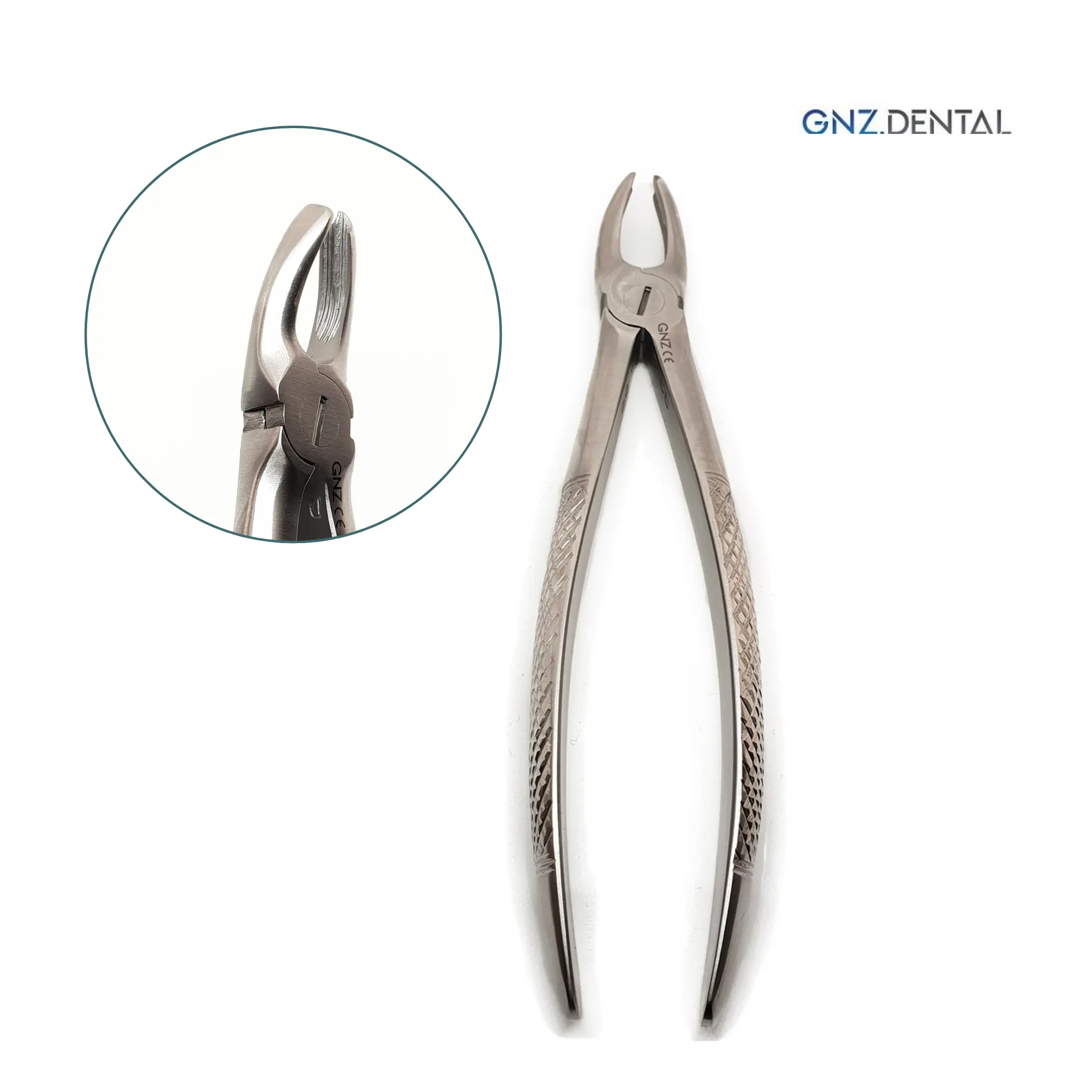 Fórceps Figura 18 Extracción Molares - GNZ Forceps-Figura-18-Extraccion-Molares-GNZ.