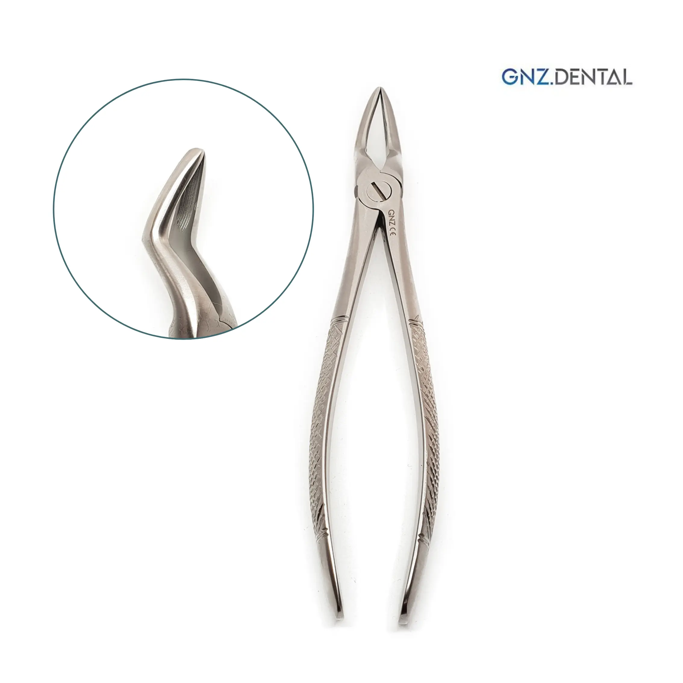 Fórceps Figura 51a Extracción de Raíces Superiores- GNZ Forceps-Figura-51a-Extraccion-de-Raices-Superiores-GNZ