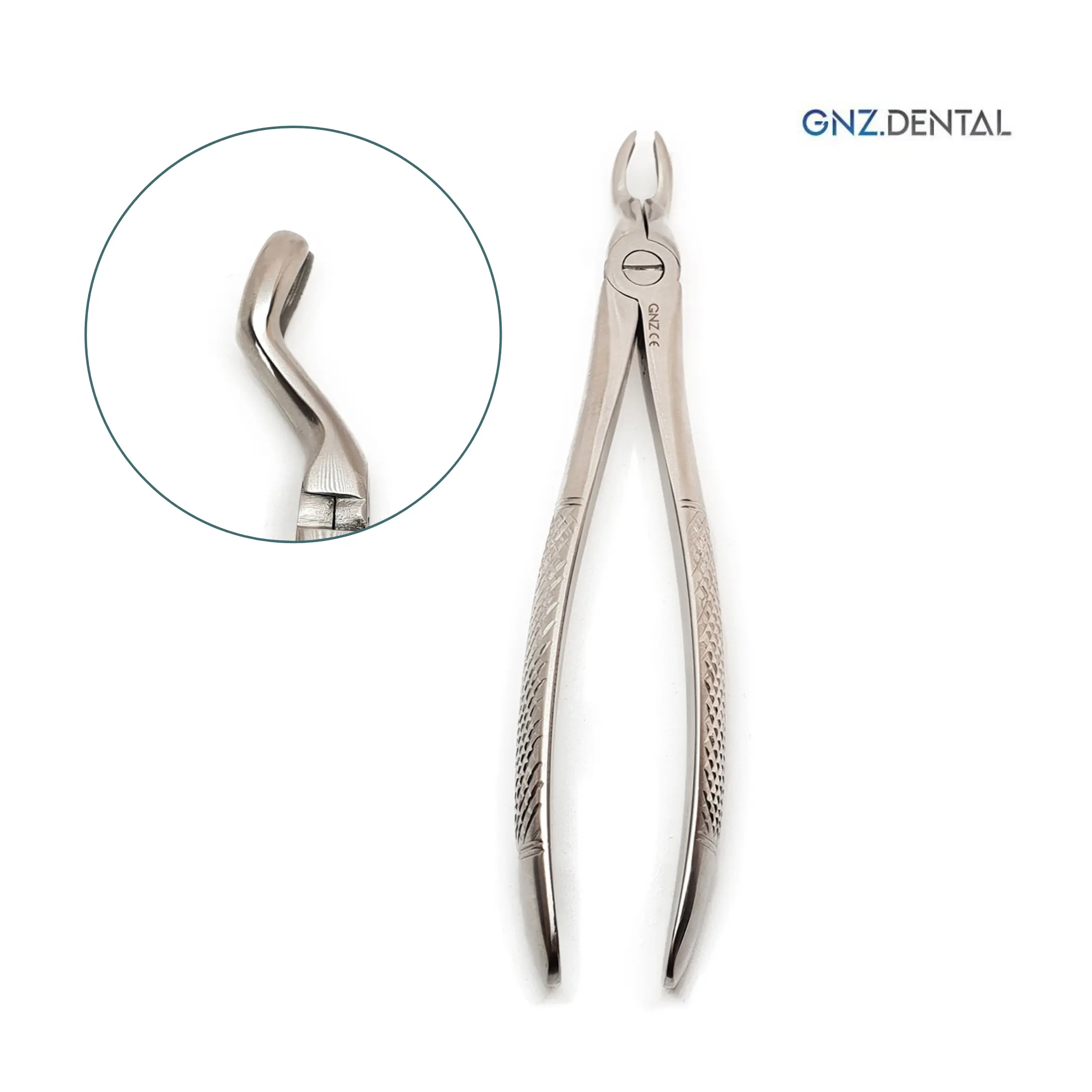 Fórceps Figura 67a Extracción Cordales Superiores- GNZ Forceps-Figura-67a-Extraccion-Cordales-Superiores-GNZ